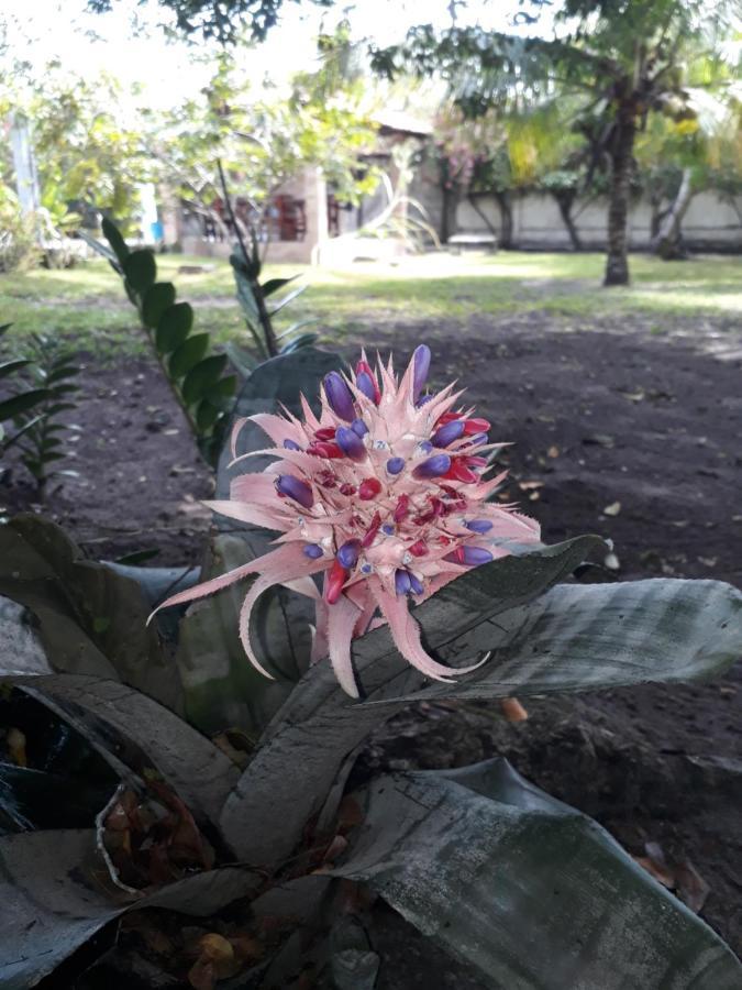 Refugio Das Bouganvillea Igarassu Buitenkant foto