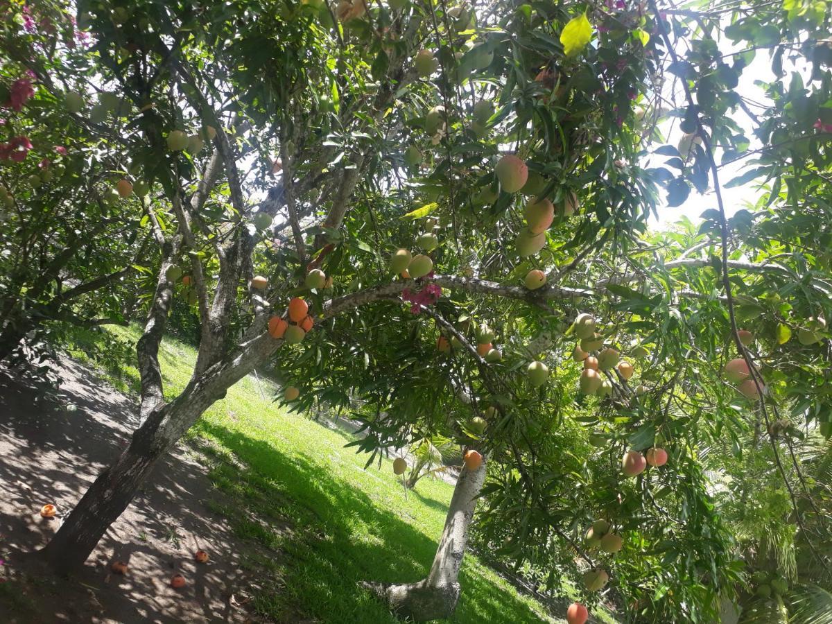 Refugio Das Bouganvillea Igarassu Buitenkant foto